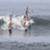 Surfers-of-Bali-Time-Place-Whats-Batu-Bolong-Like-In-November-gG5fcqVPiAM-853x480-0m14s