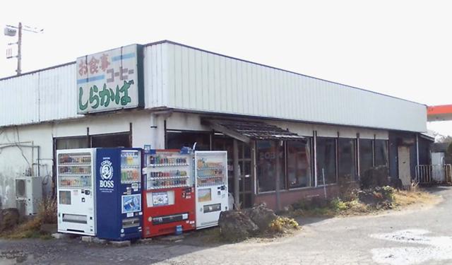 1238554915_ibaraki_shirakaba_2009
