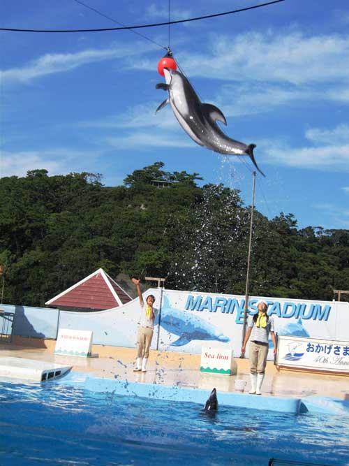 1238064500_izu_shimodasuizokukan_2009