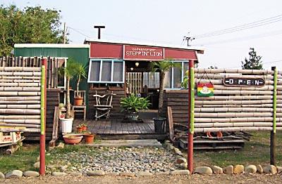 1148025511_steppinlion