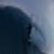 Draft-Surf-Meet-the-newest-model-of-the-Draft-Surf-line-up.-iBP0PdLuaFY-853x480-2m47s
