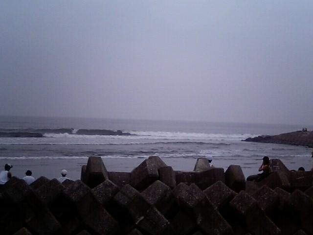 1125452231_shida